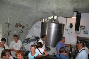 Andar per cantine 2011