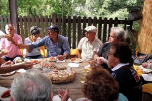 Andar per cantine 2013