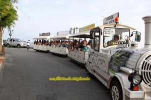 Andar per cantine 2014