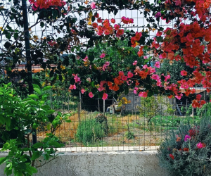 Casa del Faro Apartments