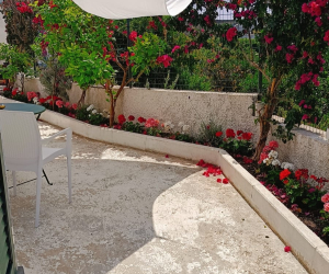 Casa Giulia Apartments