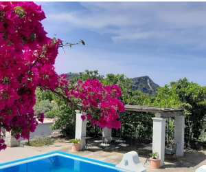 Agrihotel Il vitigno